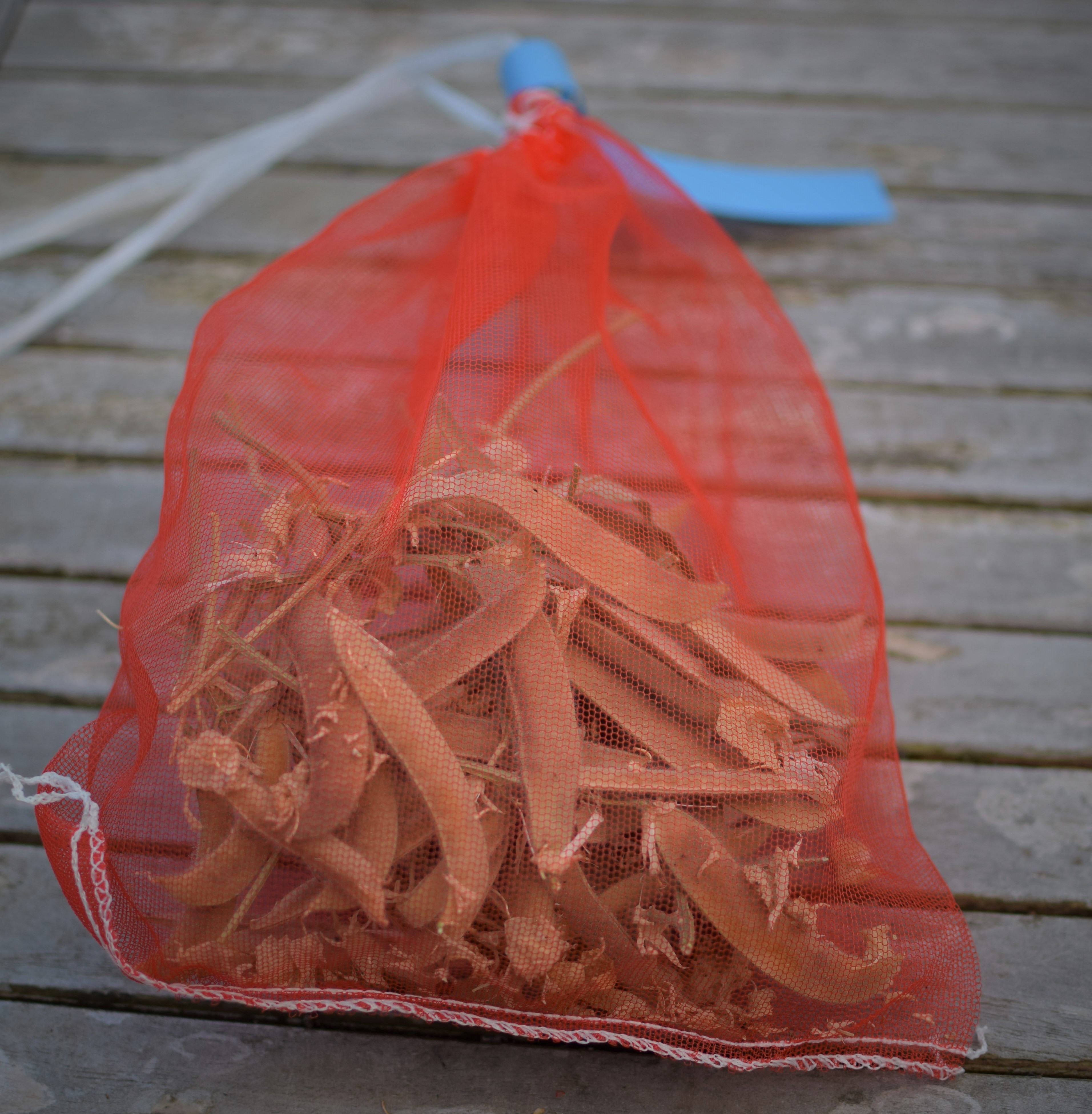 Bulb Storage Bags Zoe Woodward Gardening