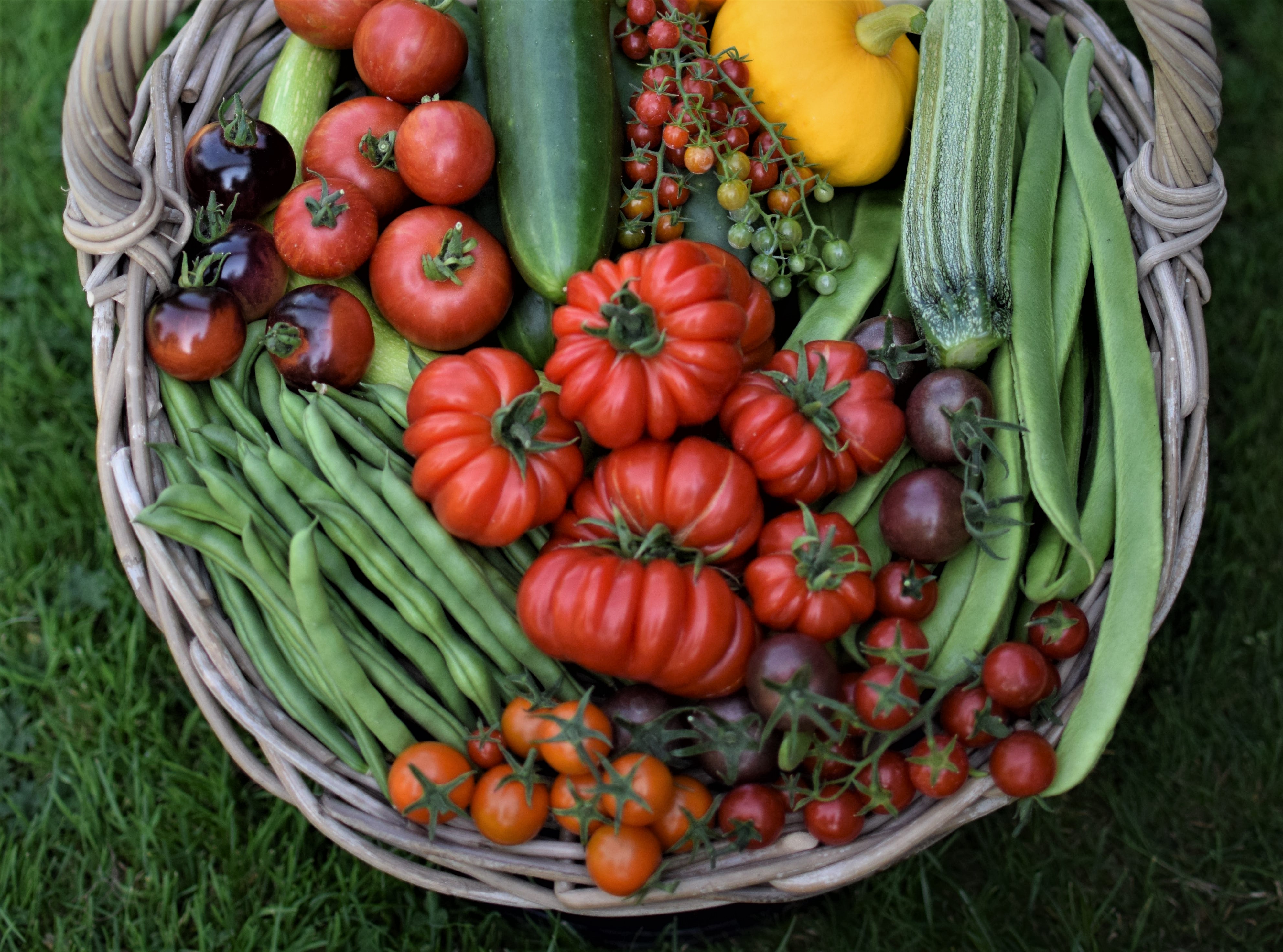 Veg Basket 3 Zoe Woodward Gardening