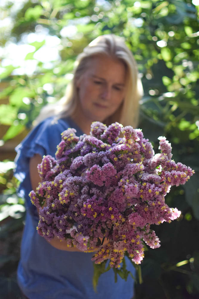 Statice Forever Happy111 Zoe Woodward Gardening