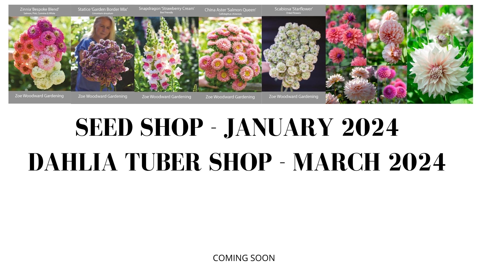Zoe Woodward gardening Seed shop and Dahlia Tuber Sale Zoe Woodward
